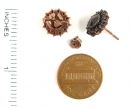 Bohemian round bezel set garnet earstuds